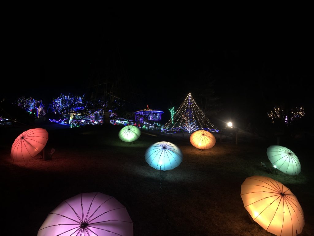 FANTASEUM - Yamanakako art illumination festival - 3776D 1