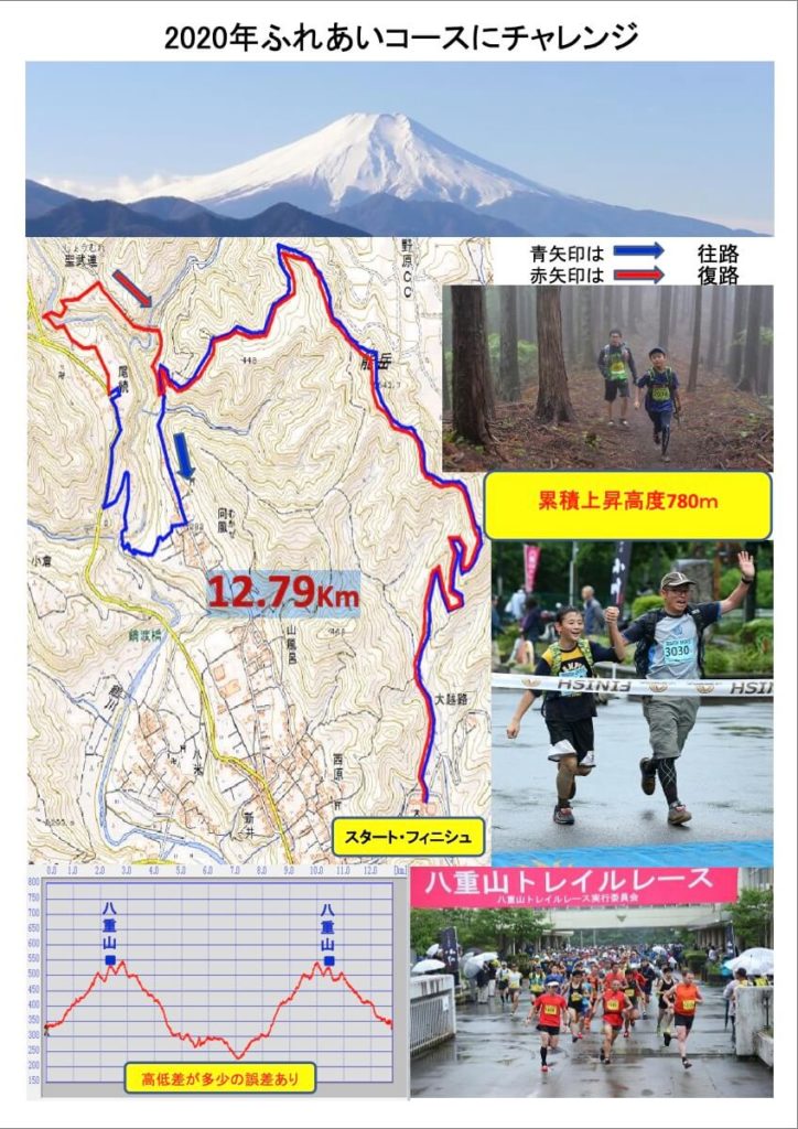 Yaeyama map short - 3776D