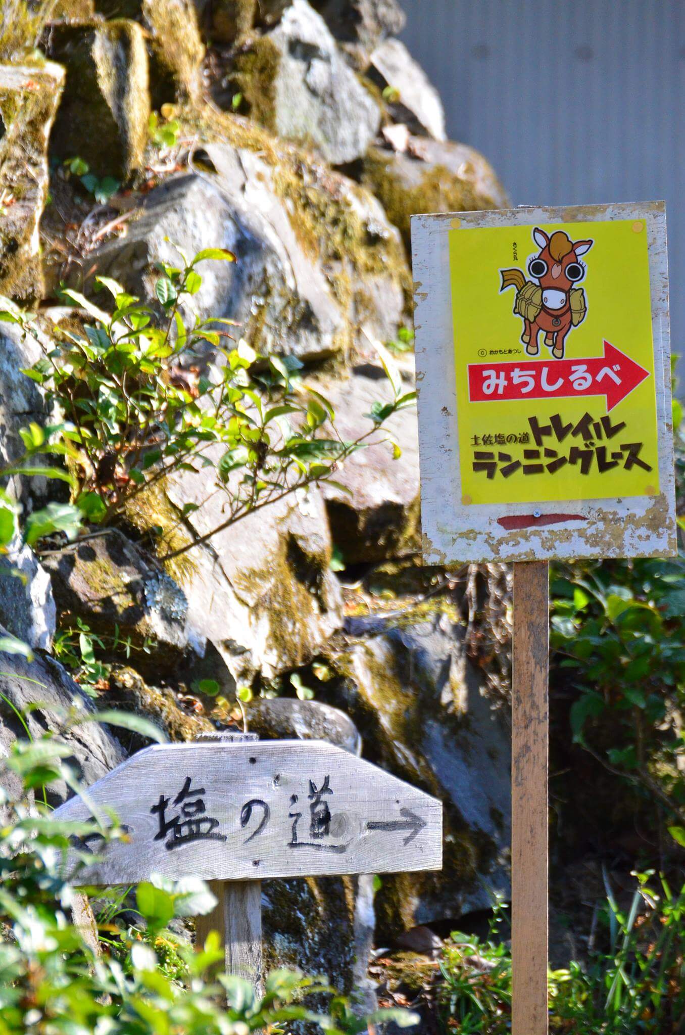 土佐塩の道トレイルランニングレース